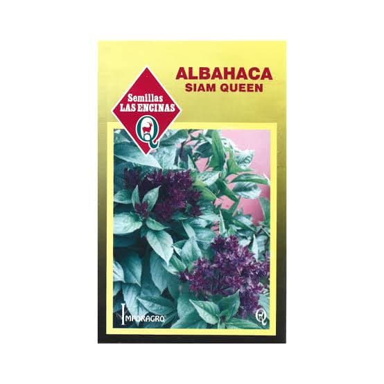 Albahaca